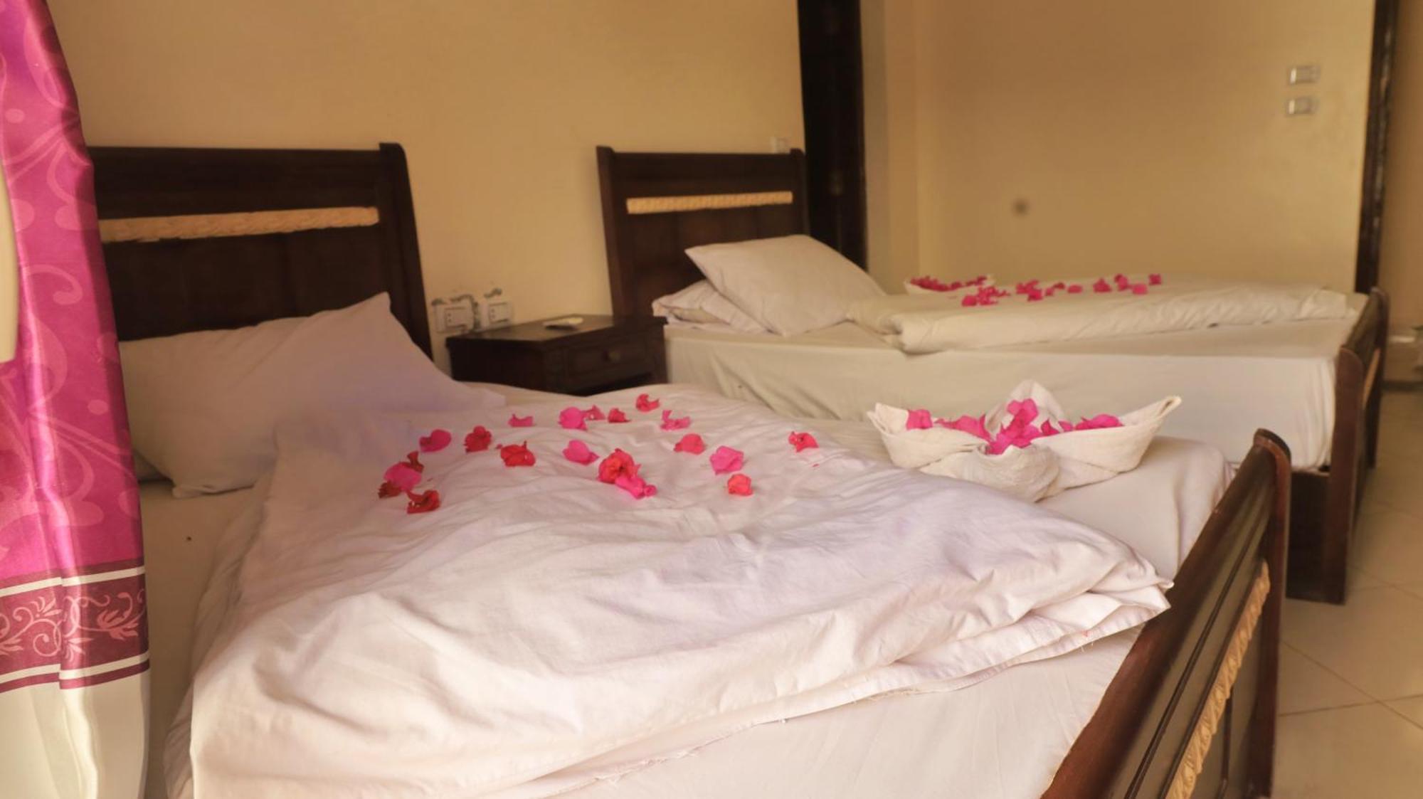 Dahab Bay Hotel ห้อง รูปภาพ